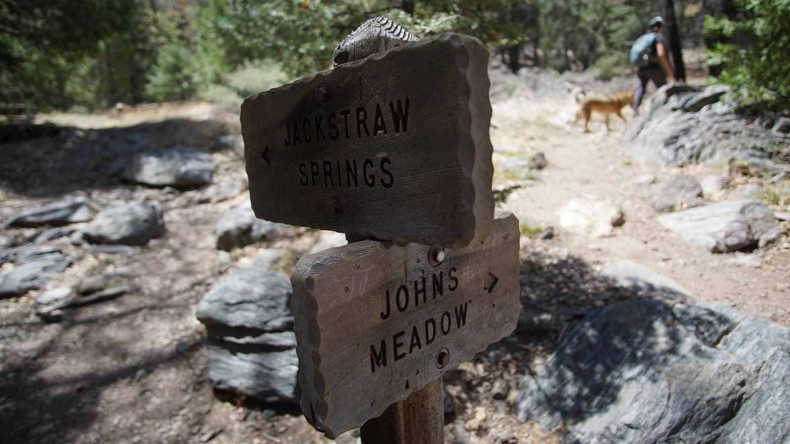 Forsee Creek Trail 1E06.1 — route