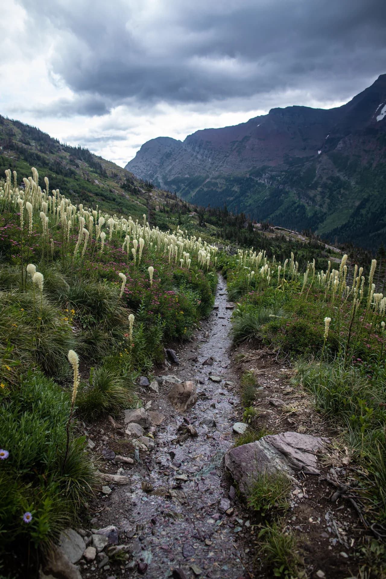 Grinnell Glacier Trail — route photo