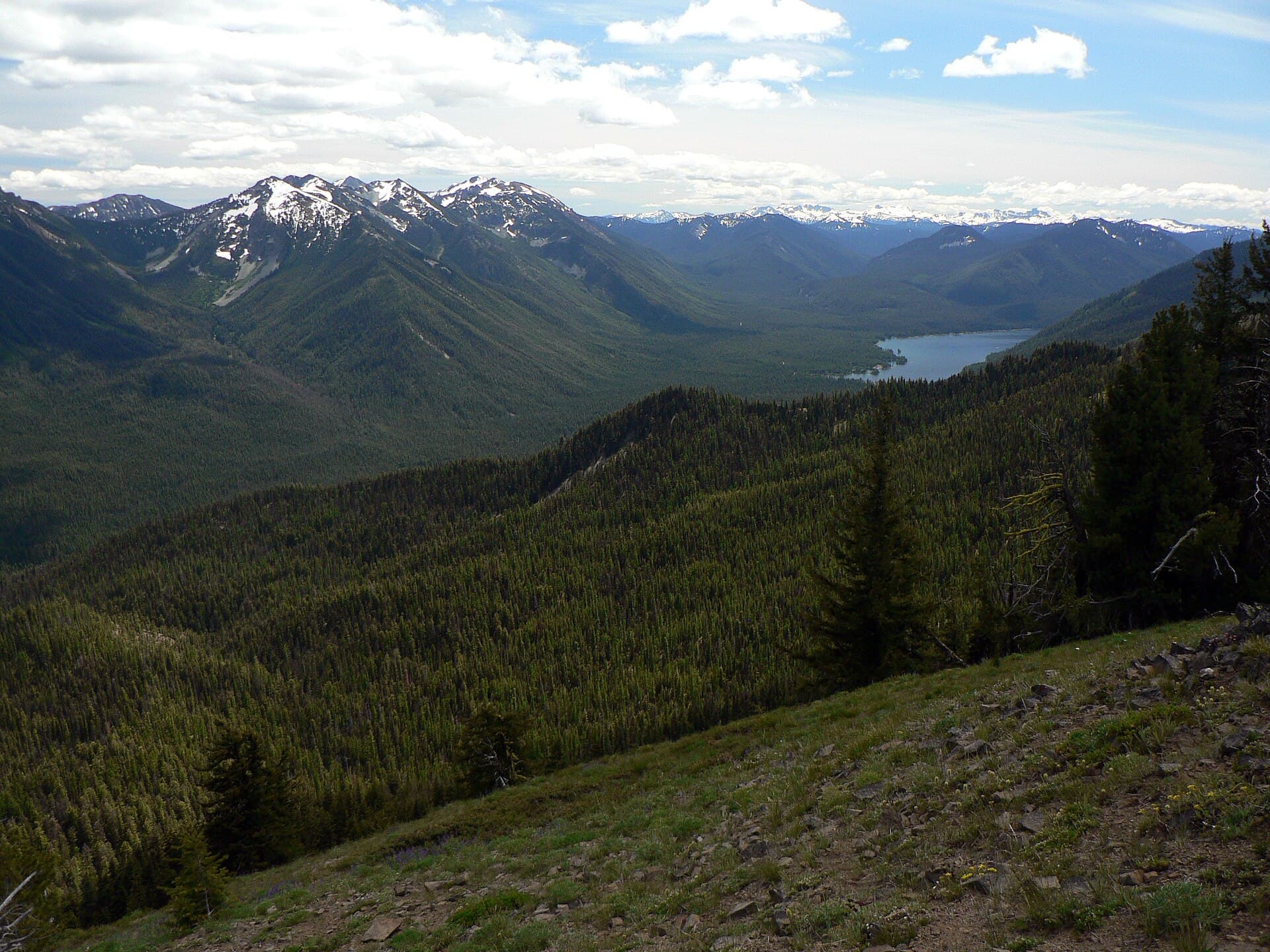 American Ridge 958 — area view