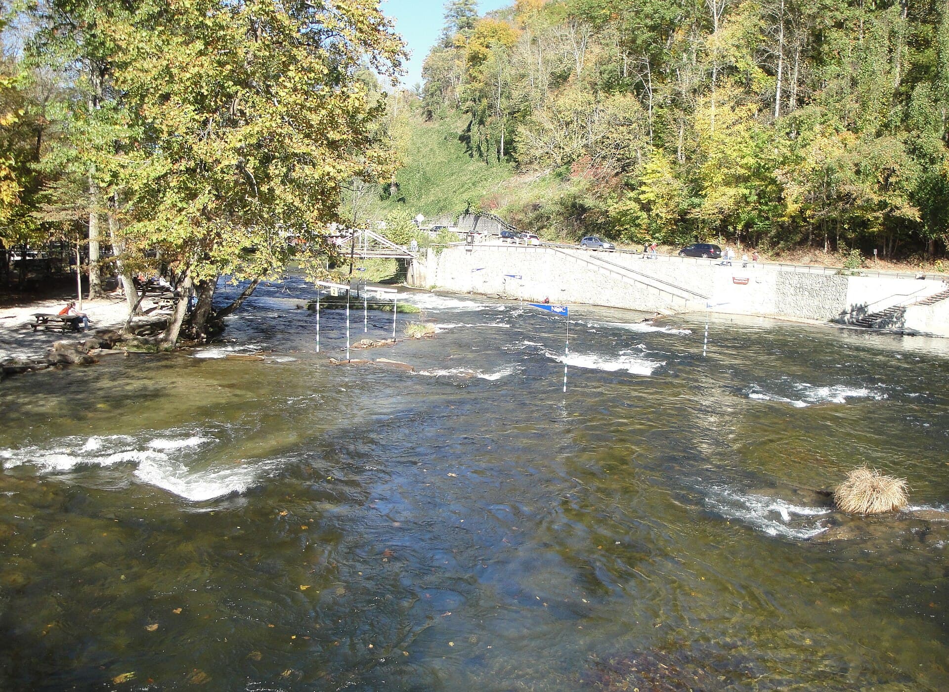 Anst - Cheoah Rd Tr1-02 — area view