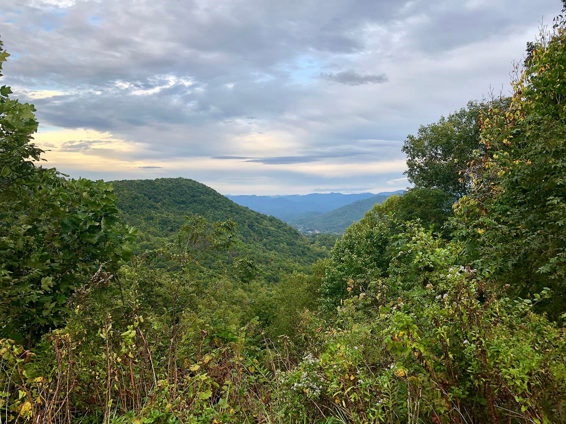 Anst - Nantahala Rd Tr1-11 — area view