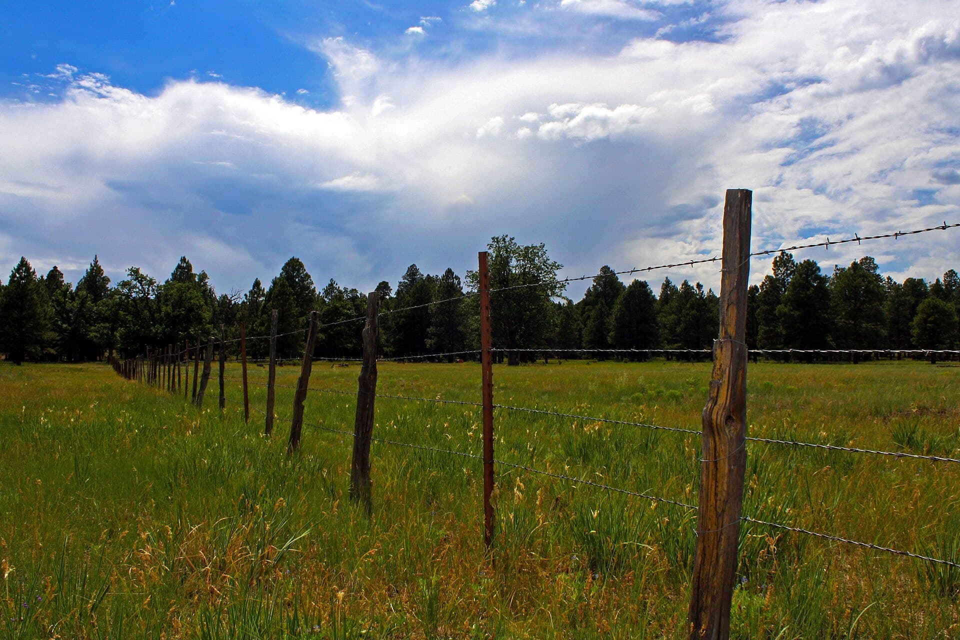 Arizona 87b — area view