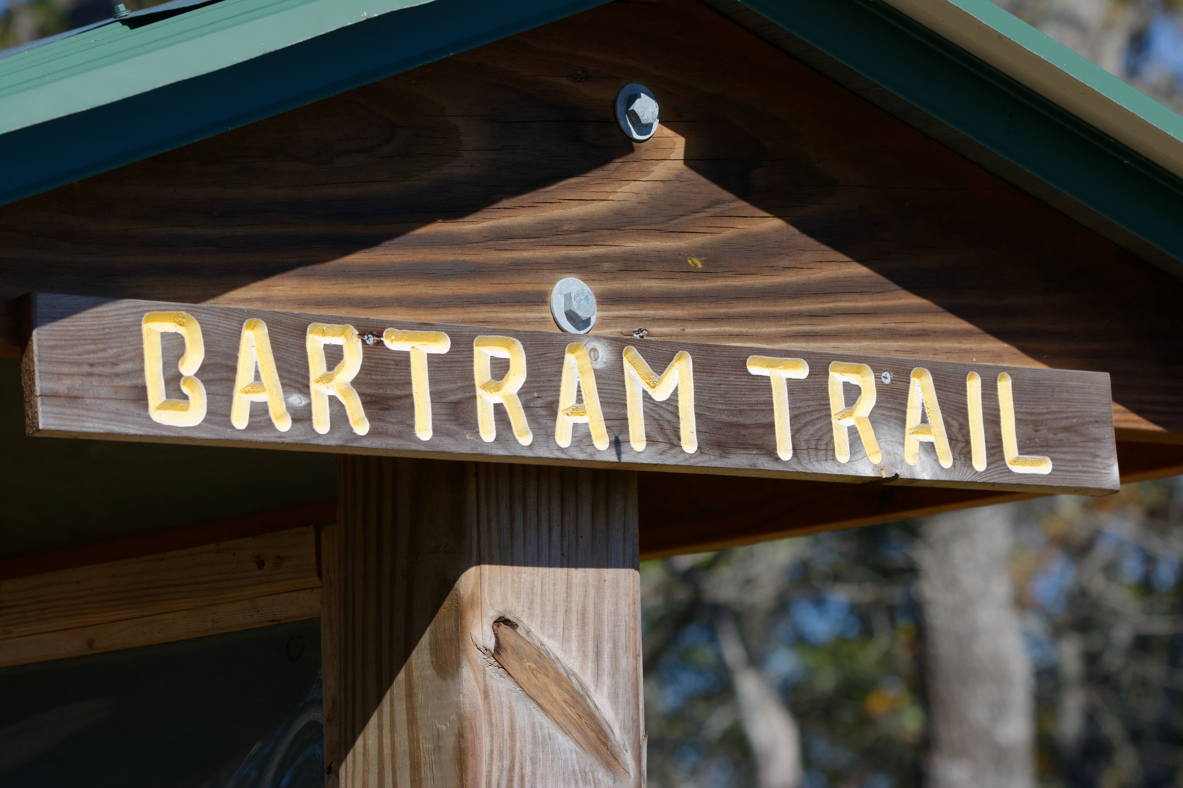 Bartram Nrt - Nantahala Rd Tr67-11 — area context