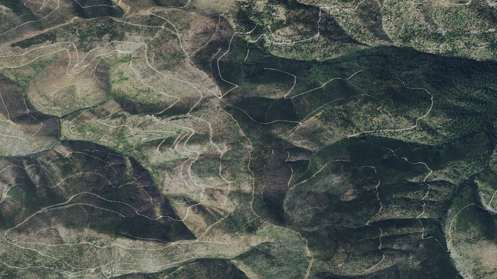 Bitterroot-Rock Creek Divide 313 — area context