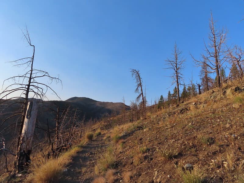 Canyon Mountain 218 — area context