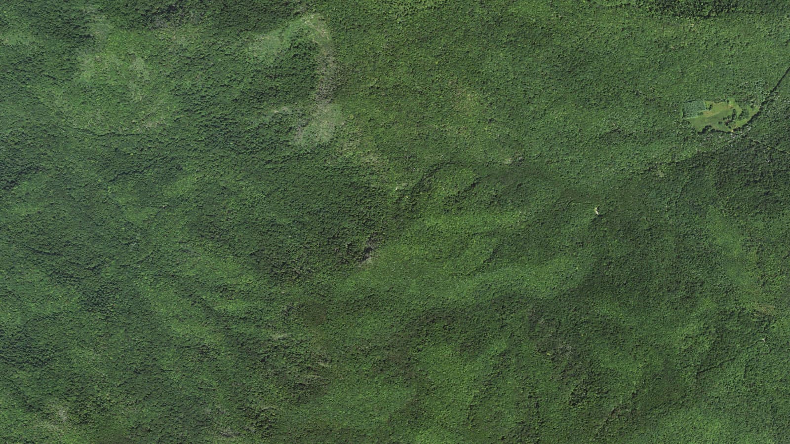 Chunky Gal Tr77 — area context