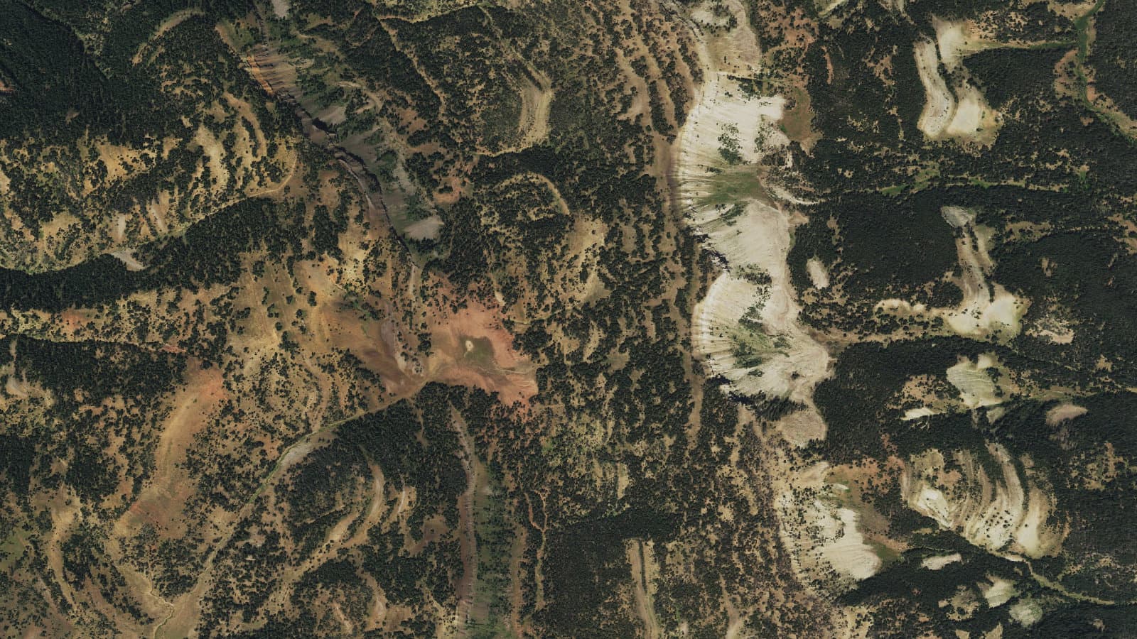 Commissary Ridge 1171 — area context