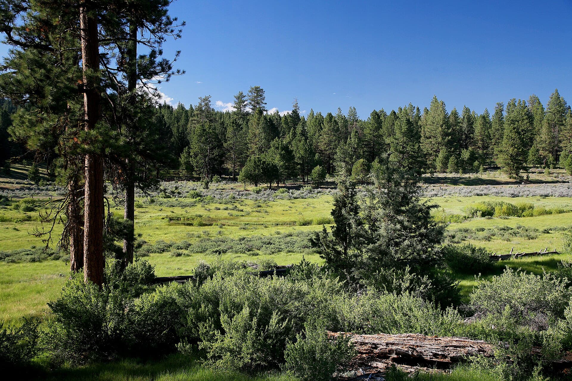 Flagtail Mountain Loop Bicycle 5046 — area context