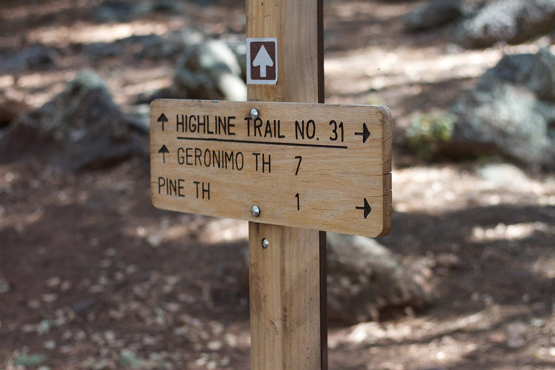 Highline 31 — area context