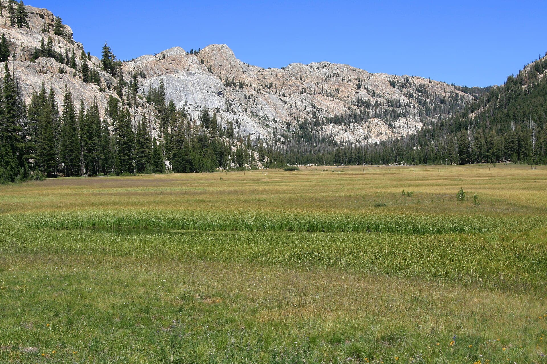 Huckleberry Trail 20e11 — area context