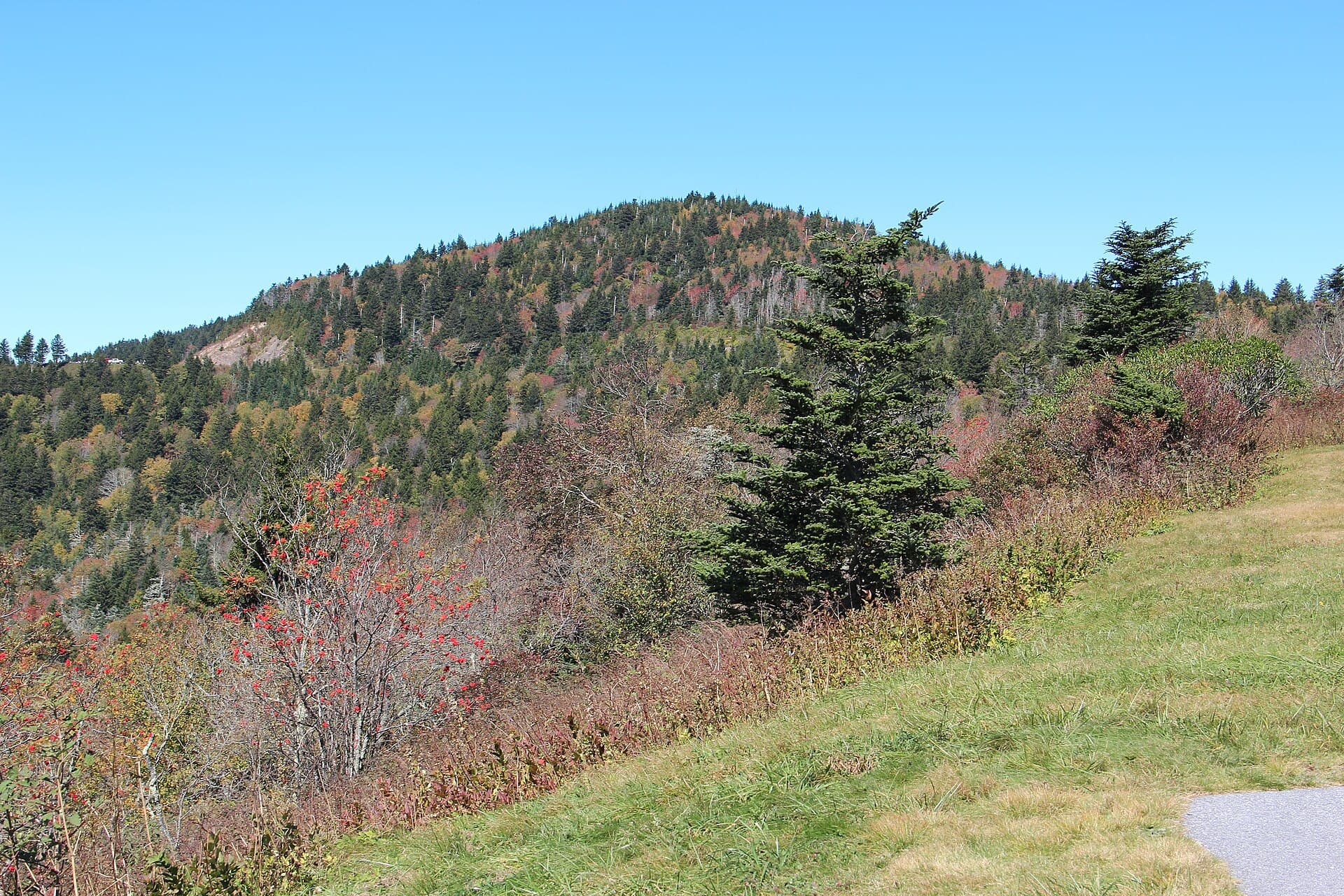Mst - Nantahala Rd Tr440-N — area context