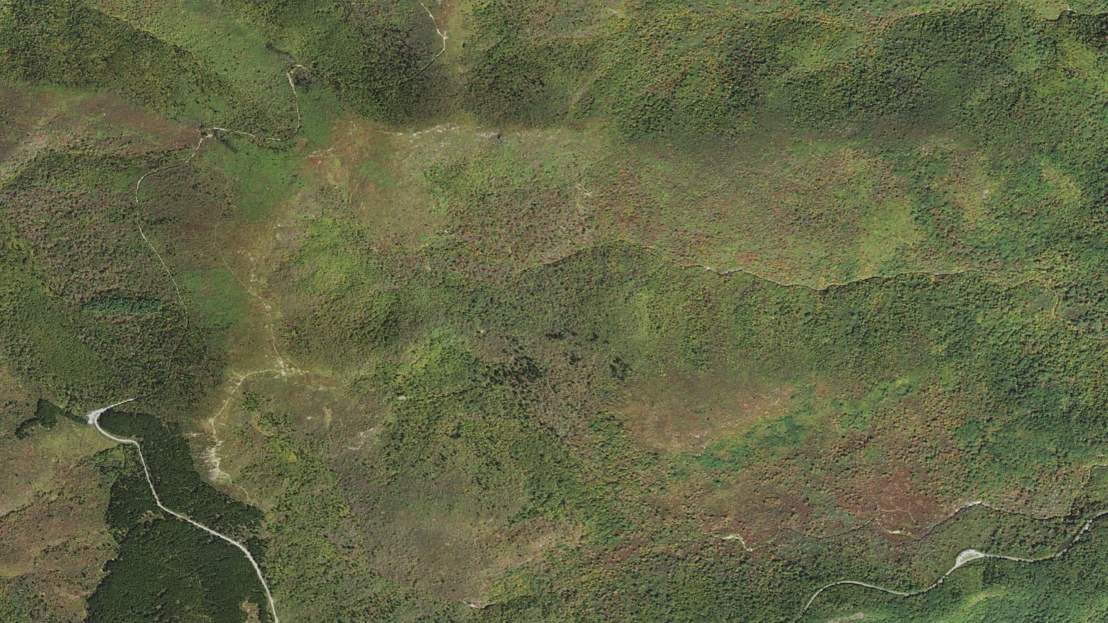 Mst - Pisgah Rd Tr440-P — area context