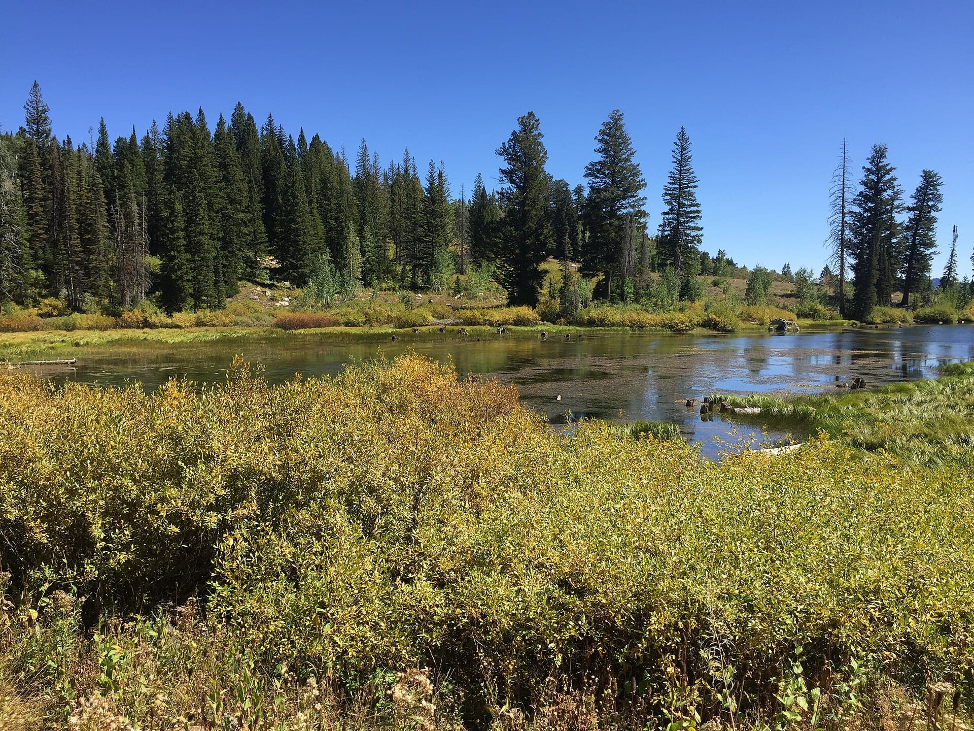 Mt Naomi Peak N.R.T. 7005 — area context