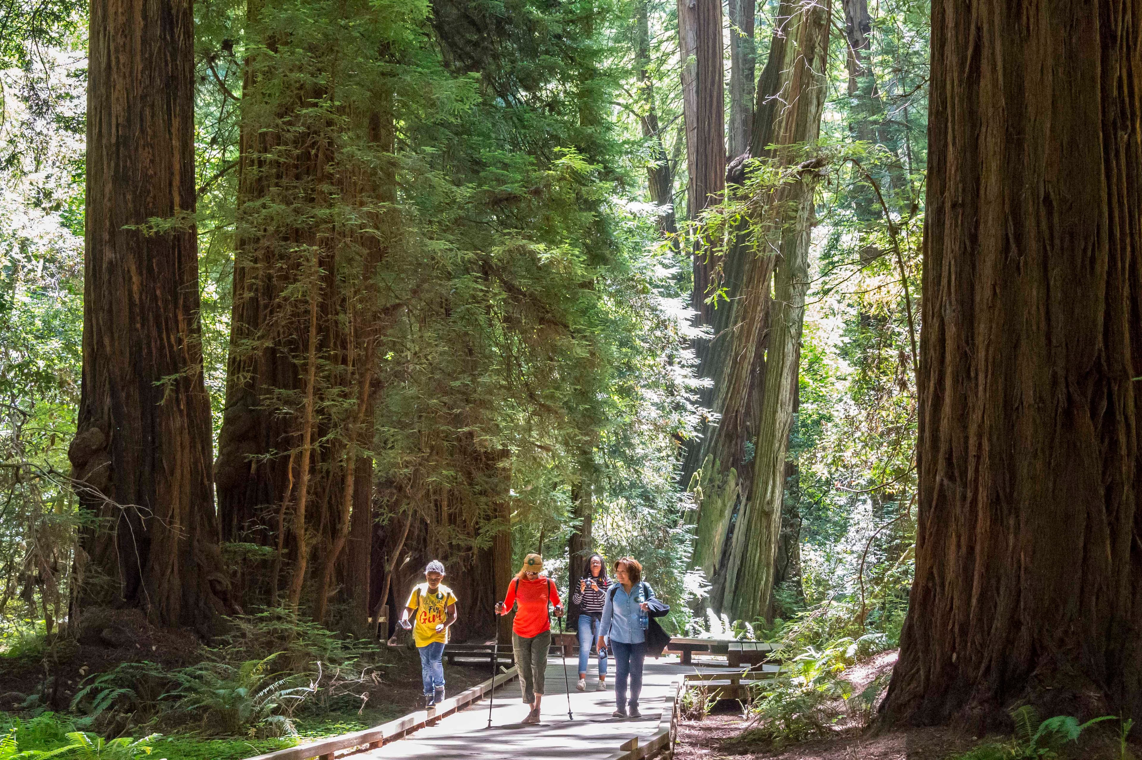 Muir Woods Main Trail route overview
