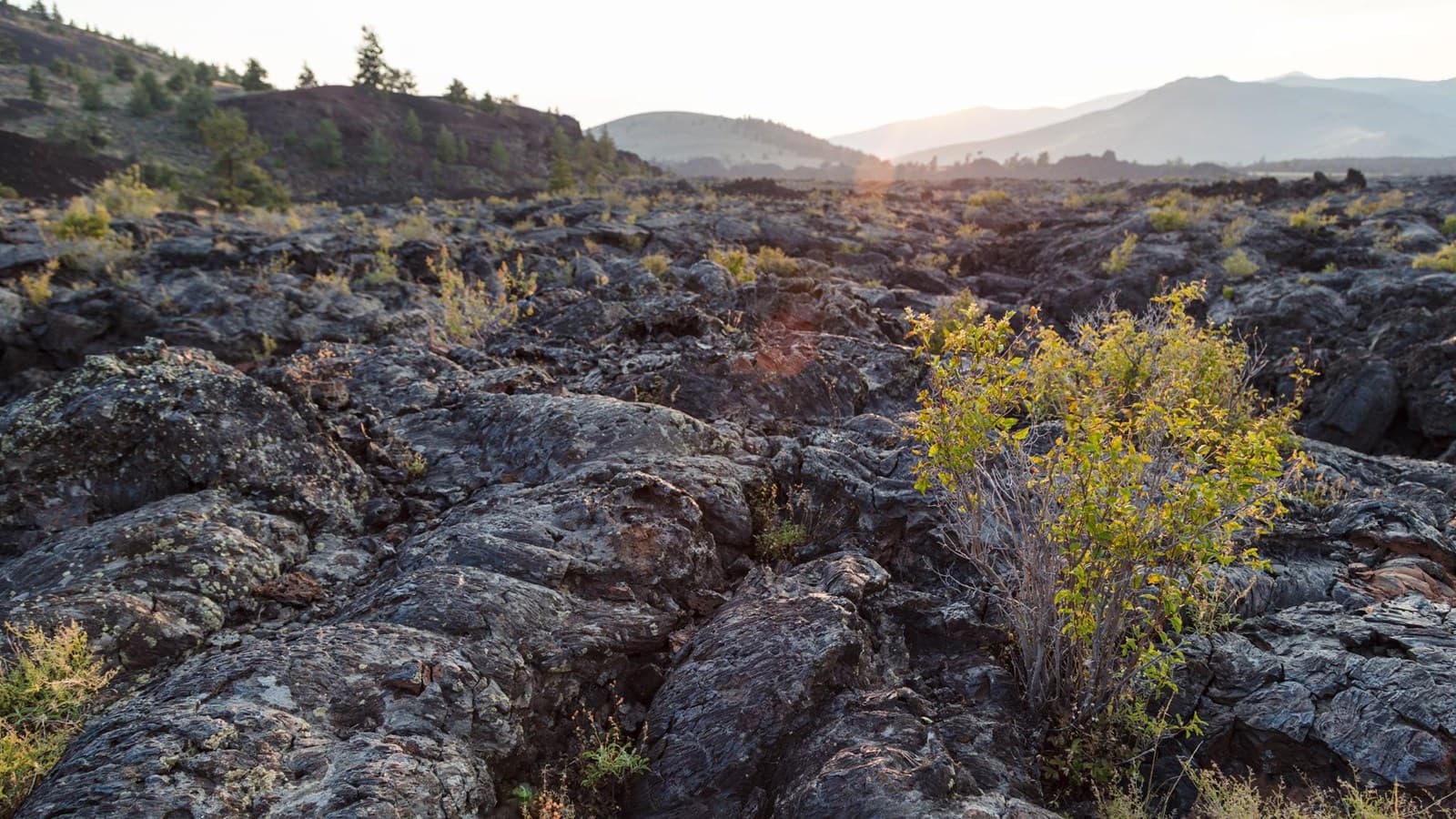North Crater Flow Trail route overview
