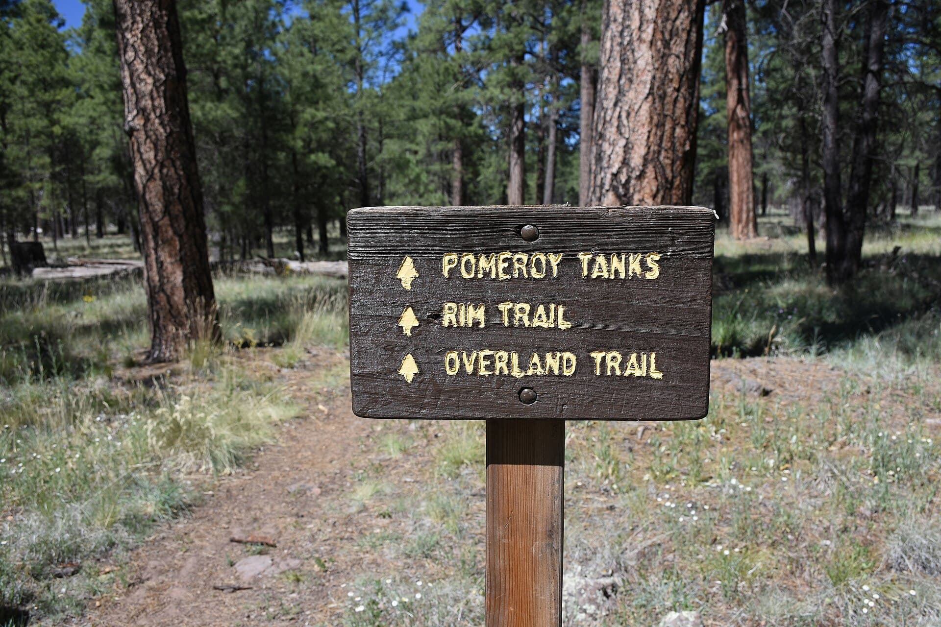 Overland Road Historic Trail 113 — area context