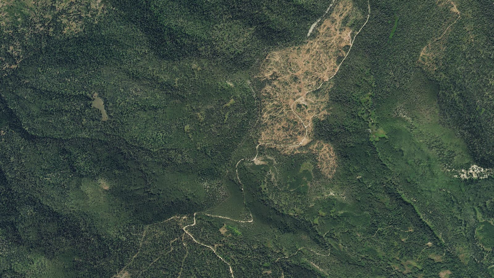 Pine-Piedra 524 — area context