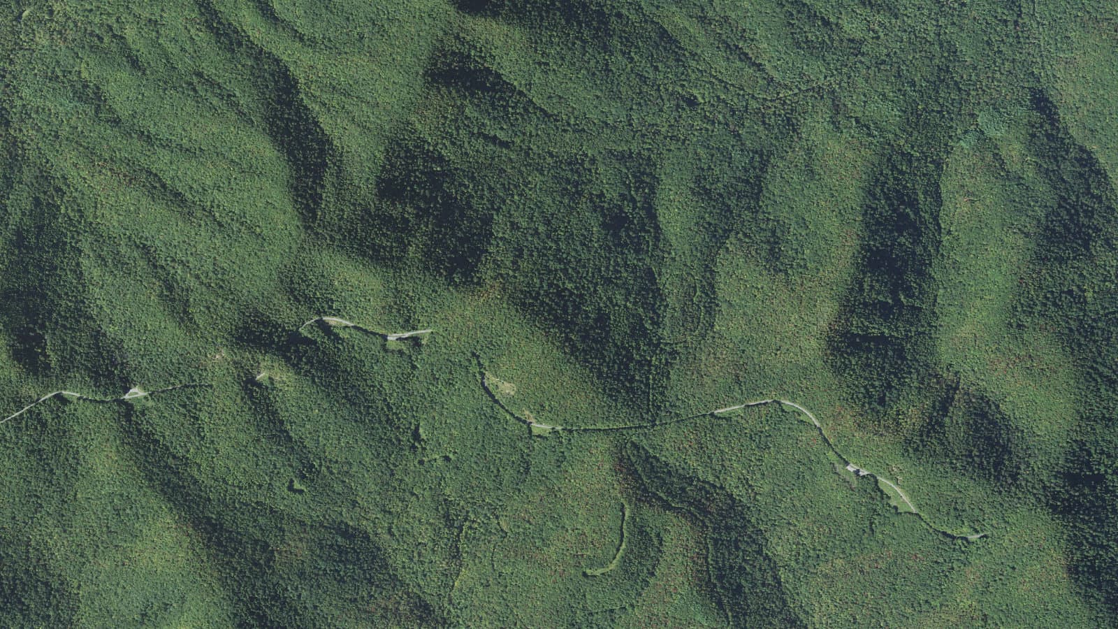 Shut-In Nrt Tr345 — area context