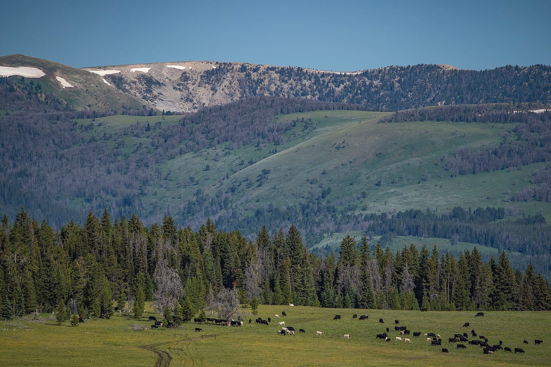 Snowcrest 6004 — area context