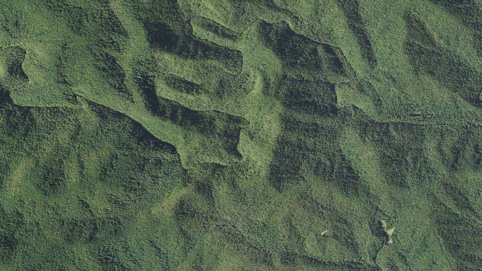 South Mills River Tr133 — area context