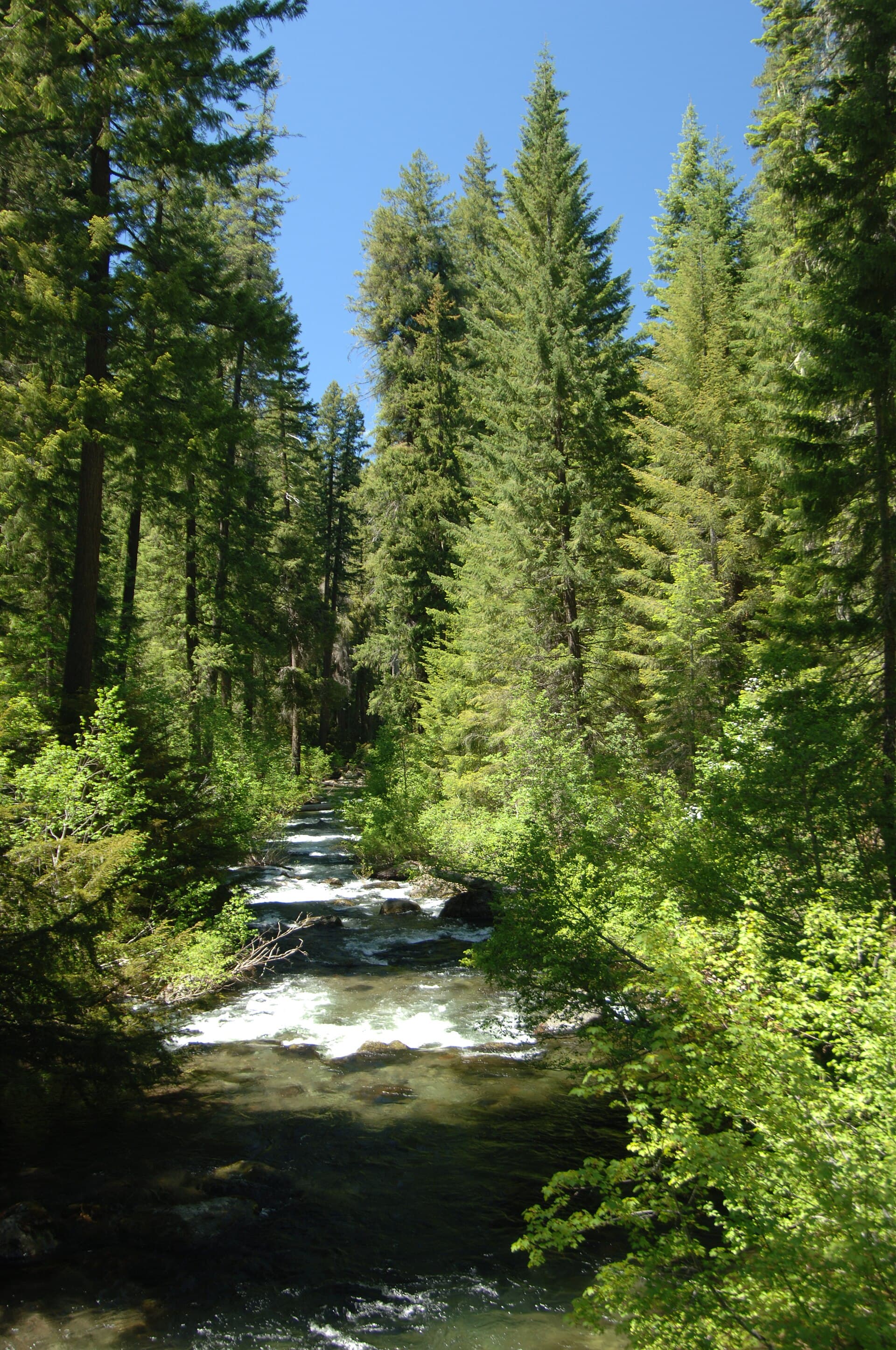 Upper Rogue River 1034 — area context
