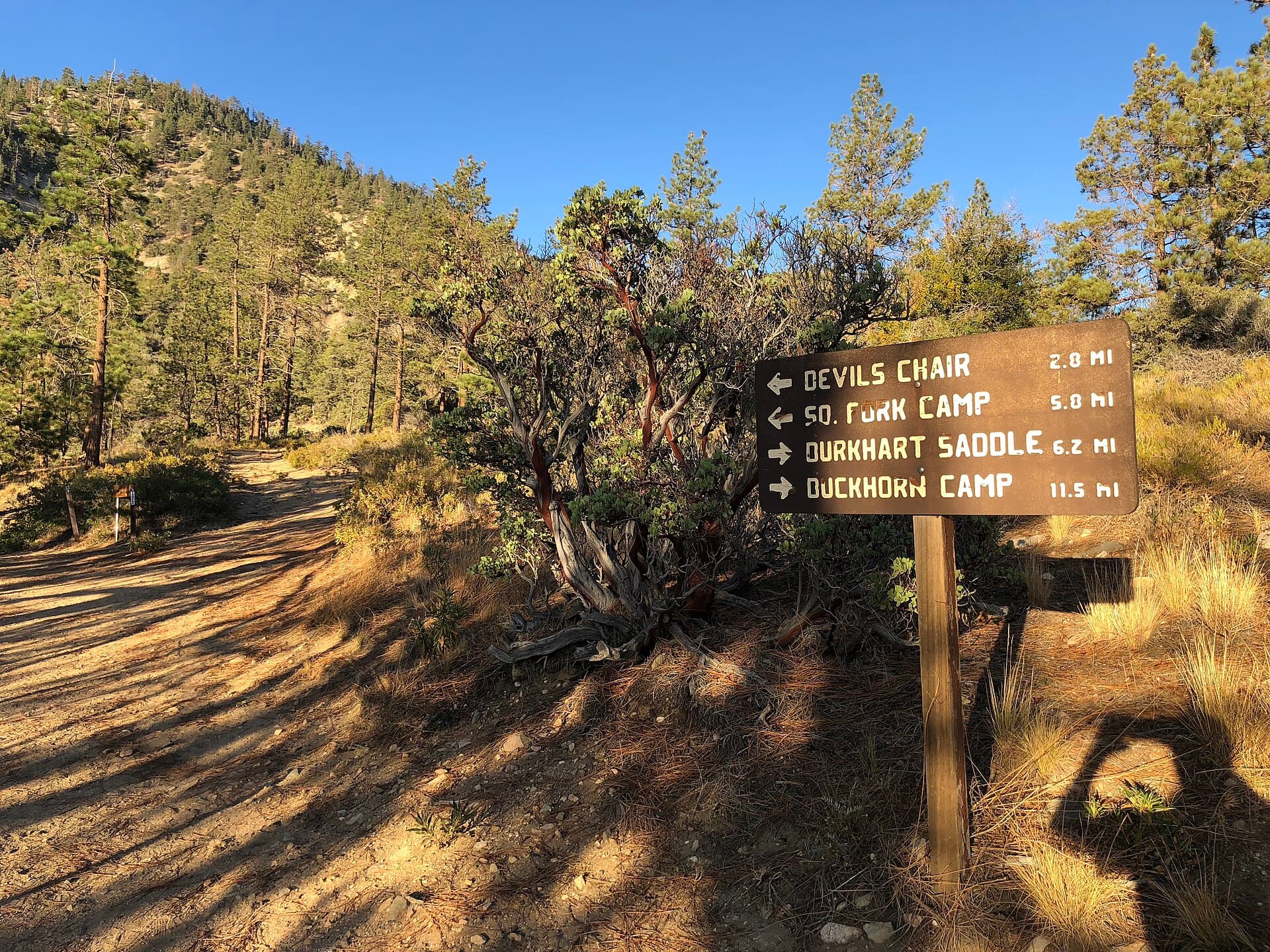 A signed hiking trail junction used to compare route choices