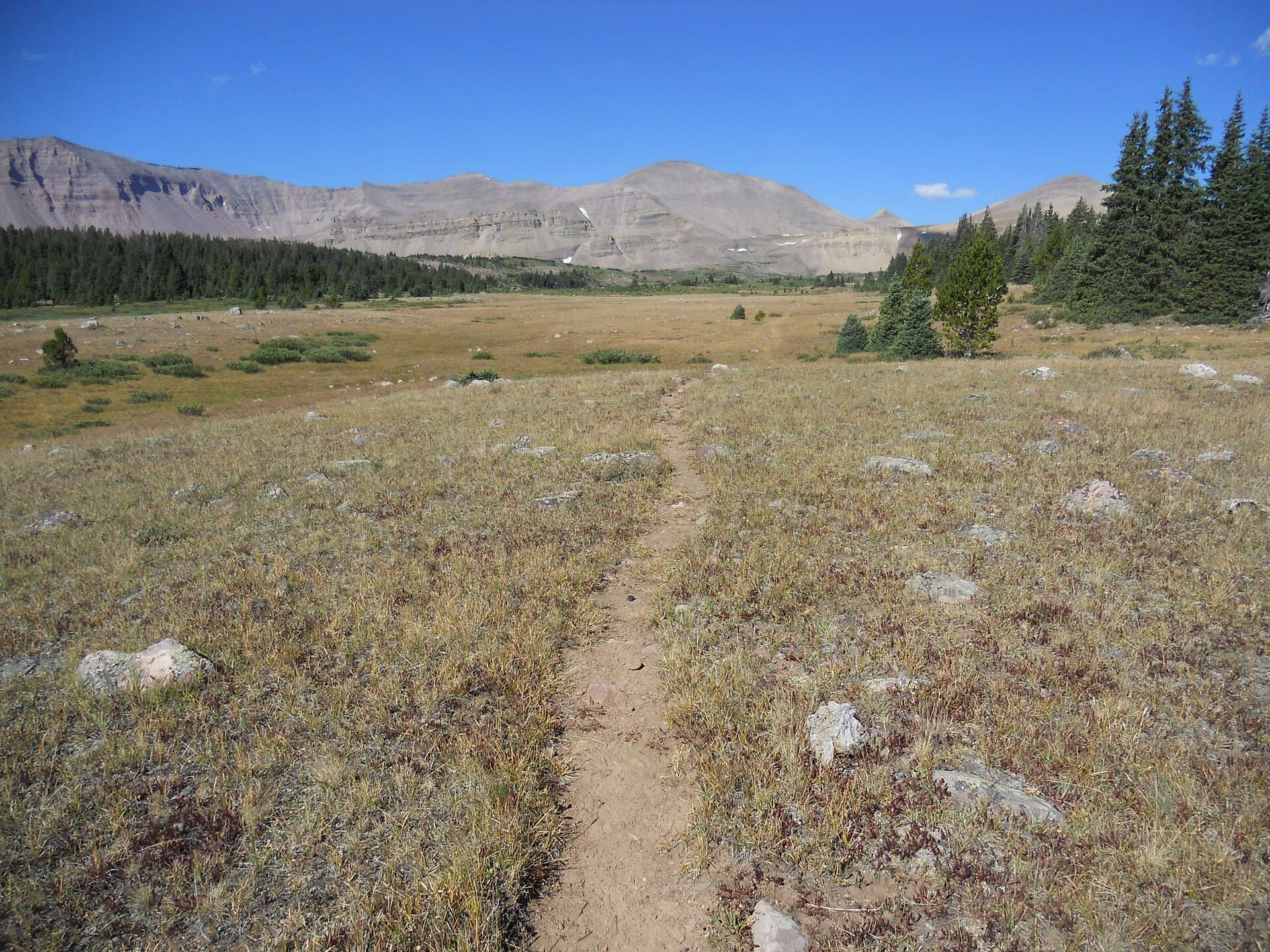 The Uinta Highline Trail crossing an exposed alpine basin