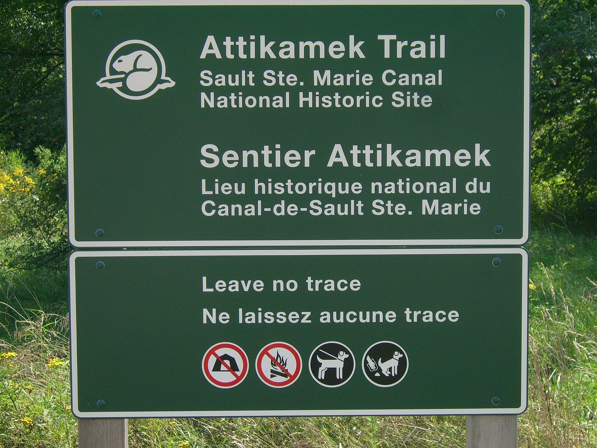 A trail sign marking the correct route through a natural area