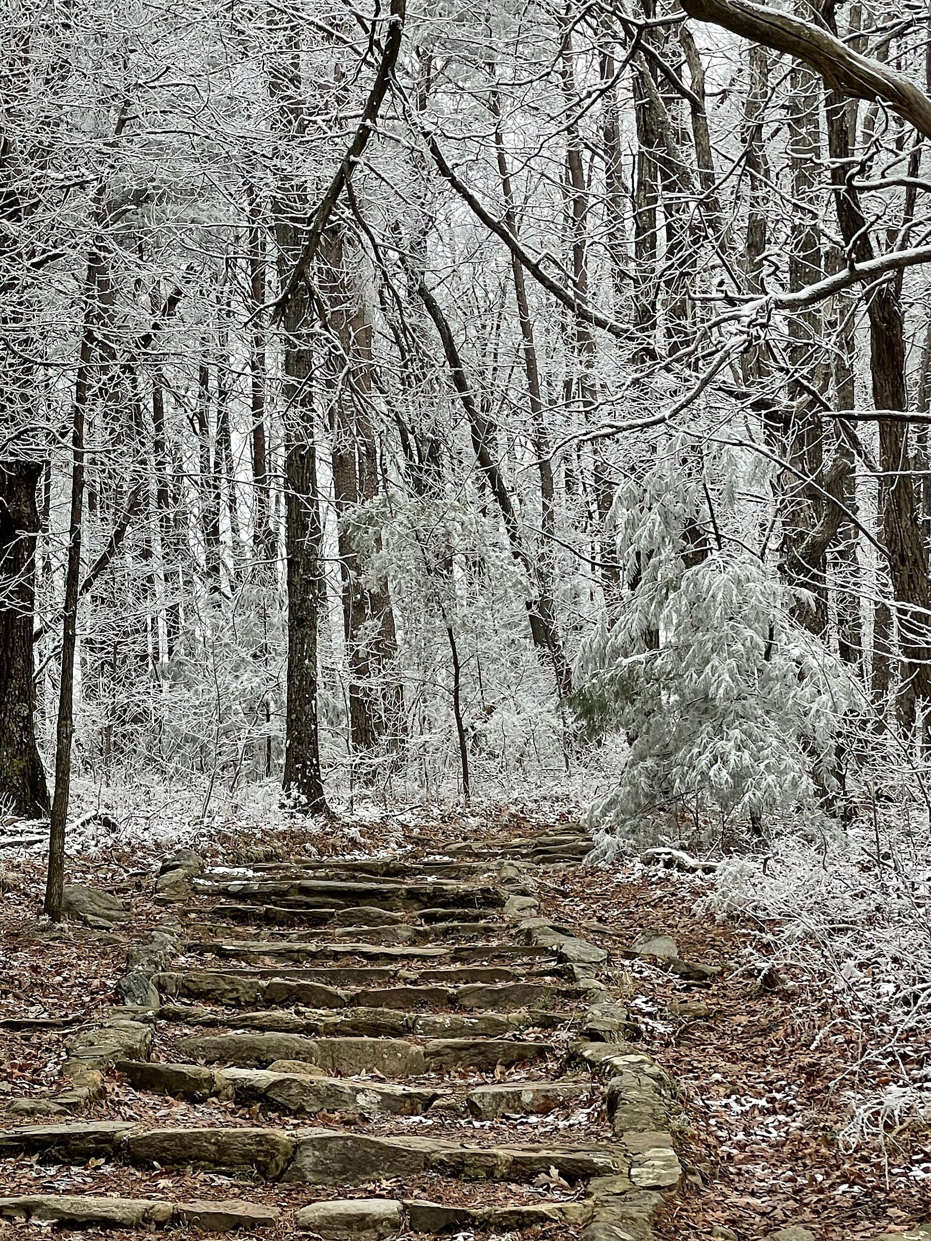 Ice and snow covering a mountain trail landscape