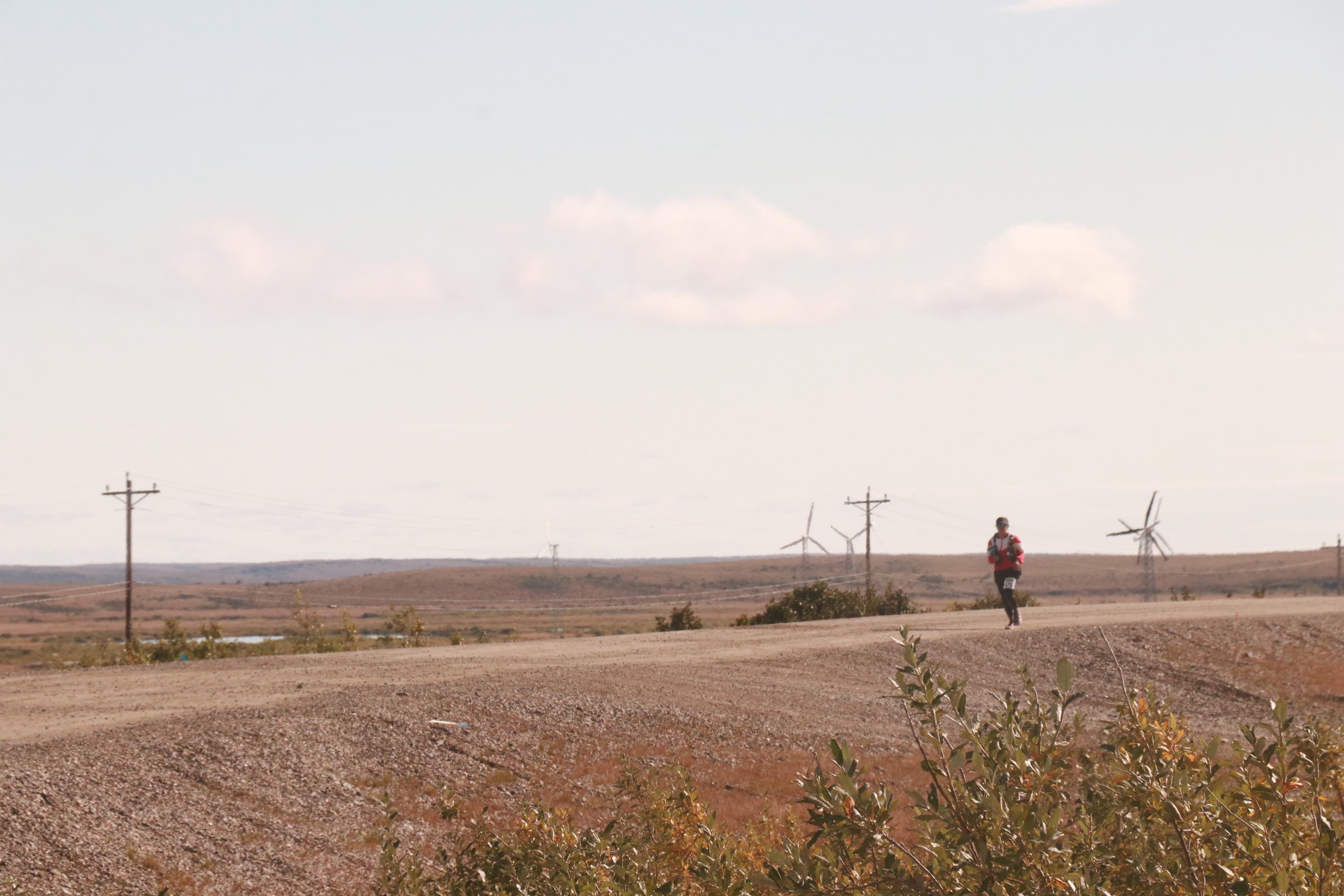 Cape Blossom Marathon race or venue source image