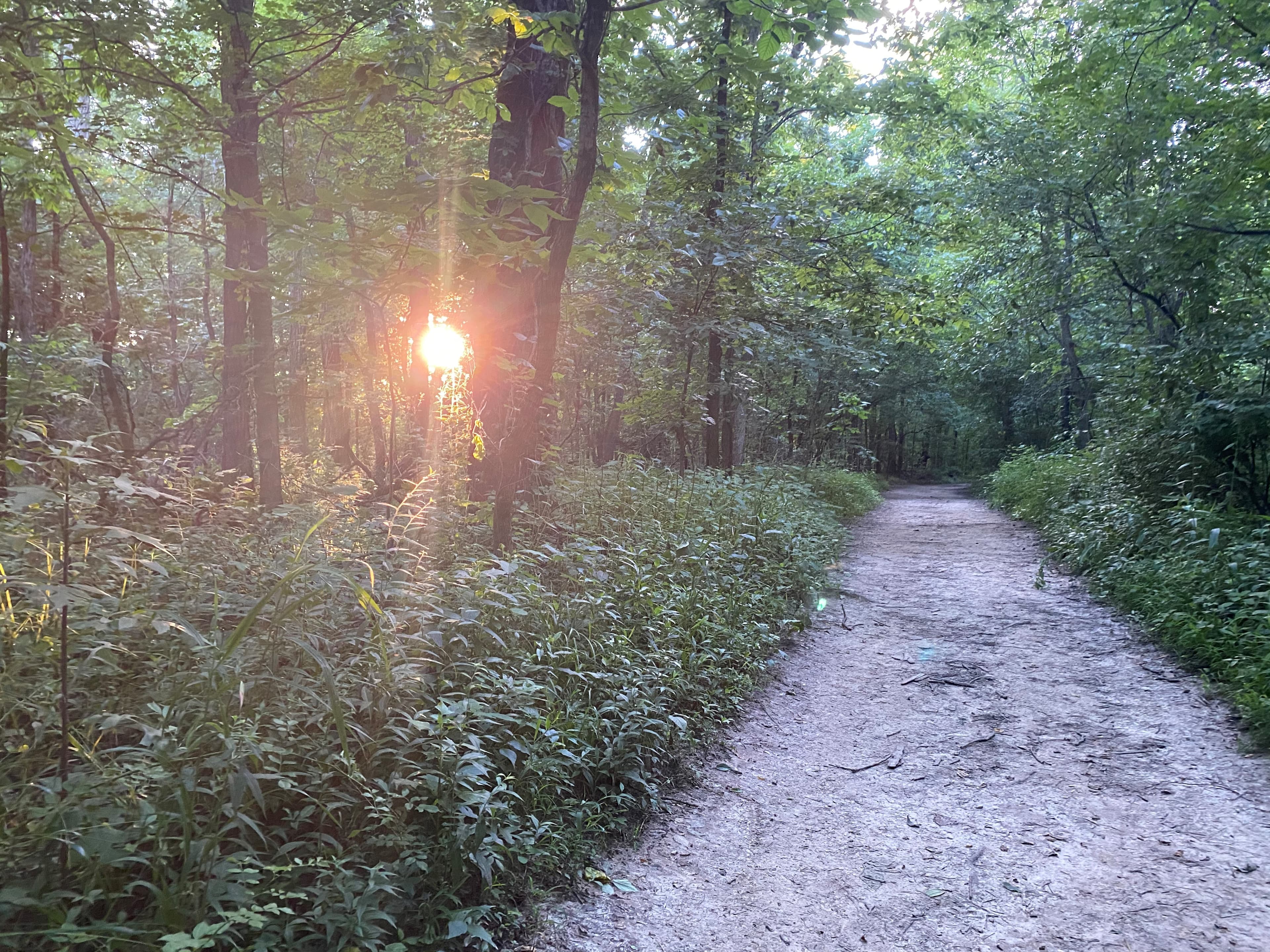 Corps of Discovery Trail Races race or venue source image