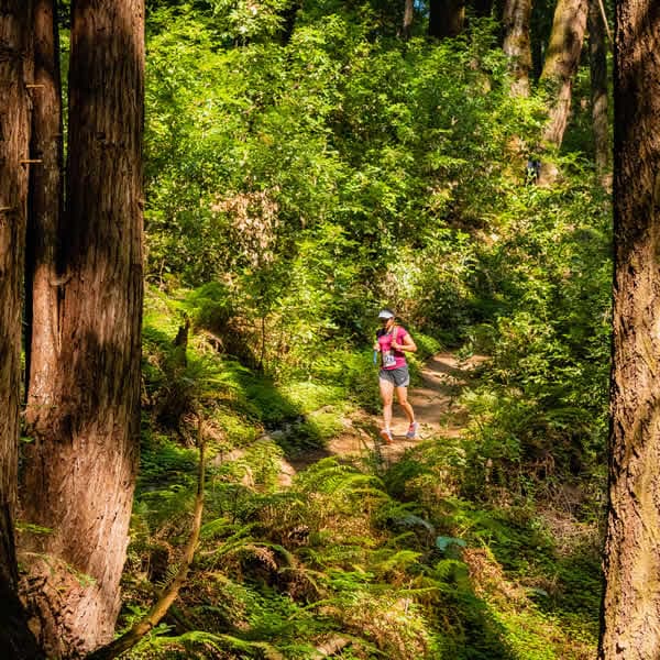 Santa Cruz Trail Run race or venue source image