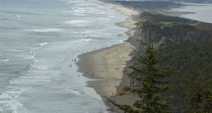 Cape Lookout Trail route overview