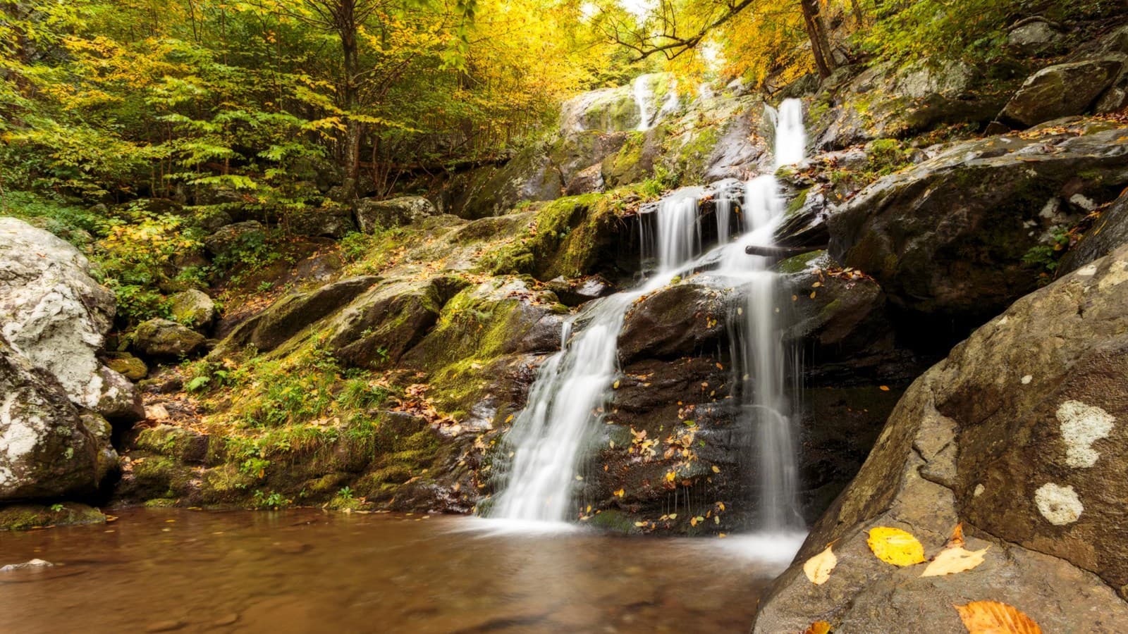Dark Hollow Falls Trail trail
