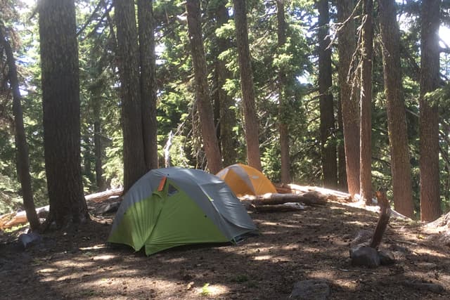 Dutton Creek Backpacking Loop trail