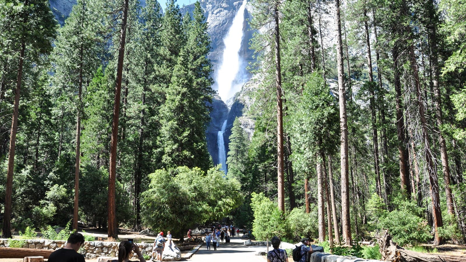 Waterfall Hikes: Lower Yosemite Fall Trail