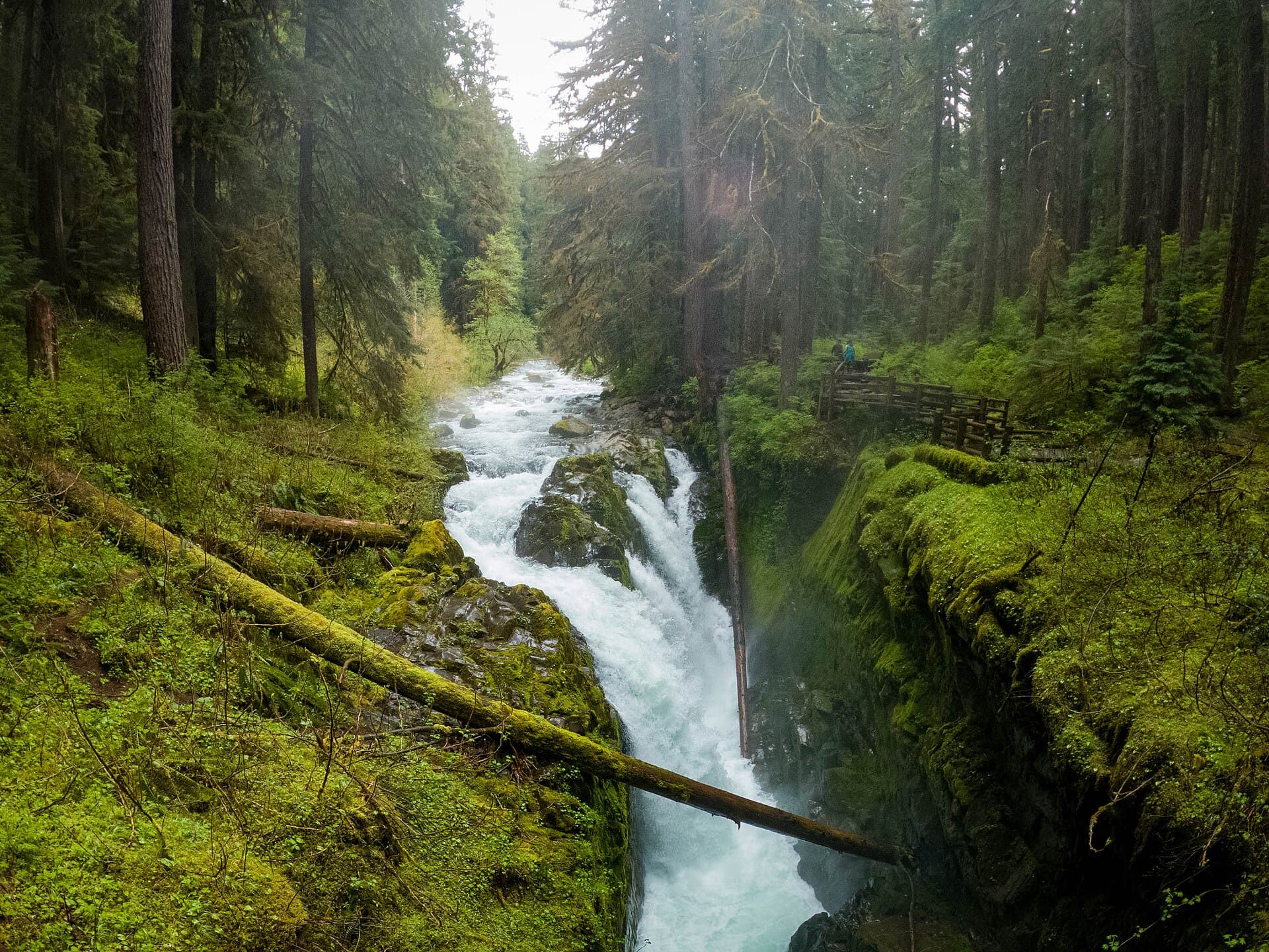 Sol Duc Falls Trail route overview